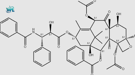 Paclitaxel#33069-62-4