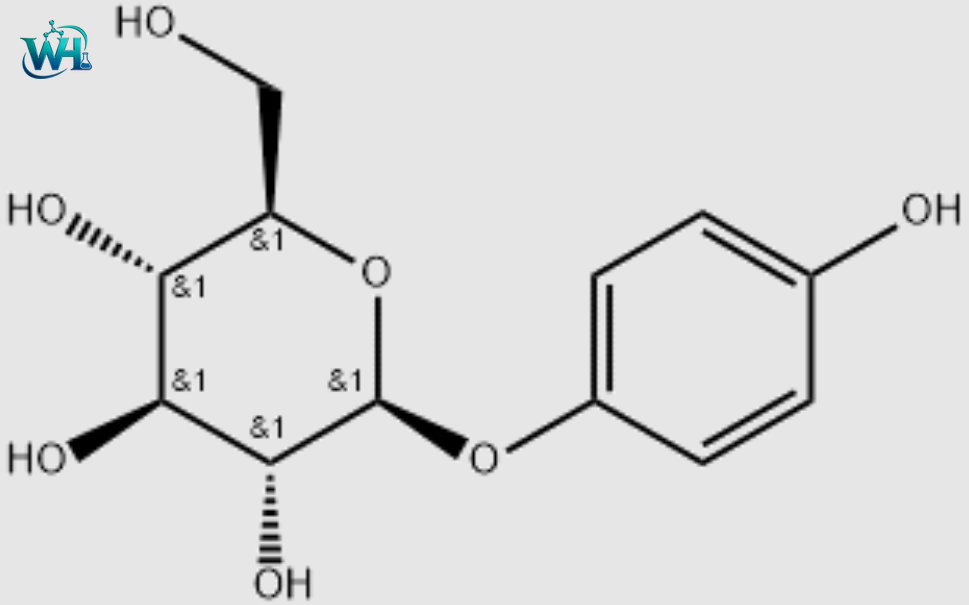 Arbutin#497-76-7