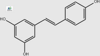 Resveratrol#501-36-0