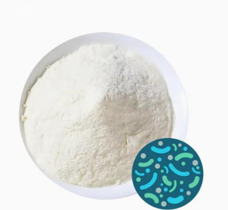 Dietary Supplements Akk Probiotic Dietary Supplements Akk Probiotic