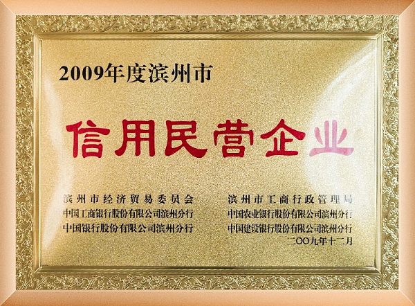 2009信用民营企业