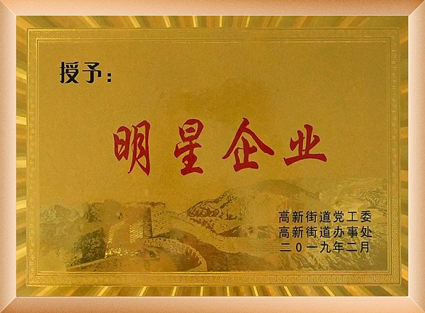 2019明星企业