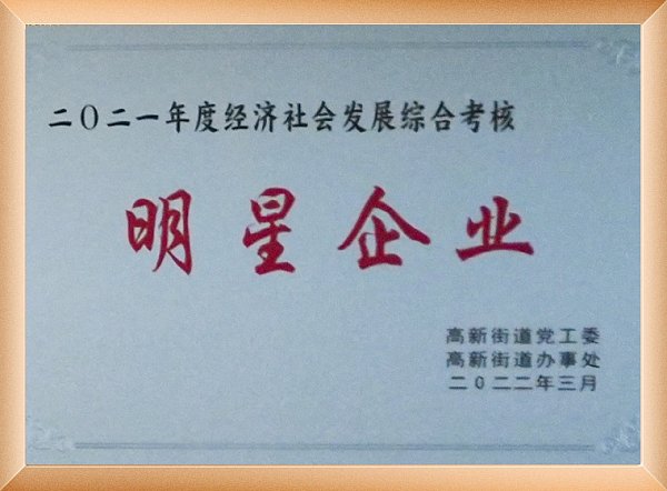 2021明星企业