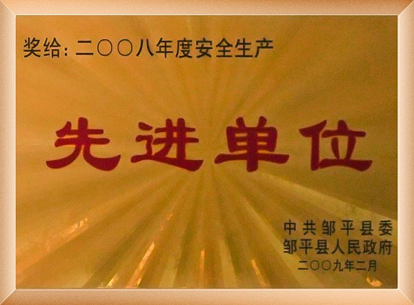 2008先进单位