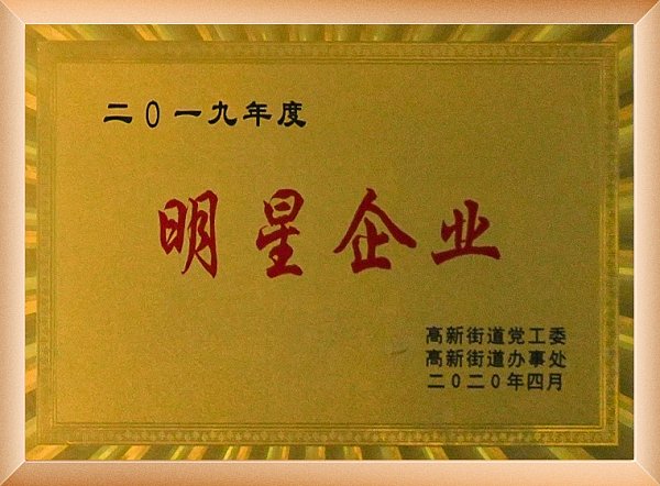2019明星企业2