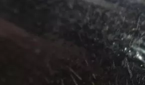 Negro de silicona húmeda un lado