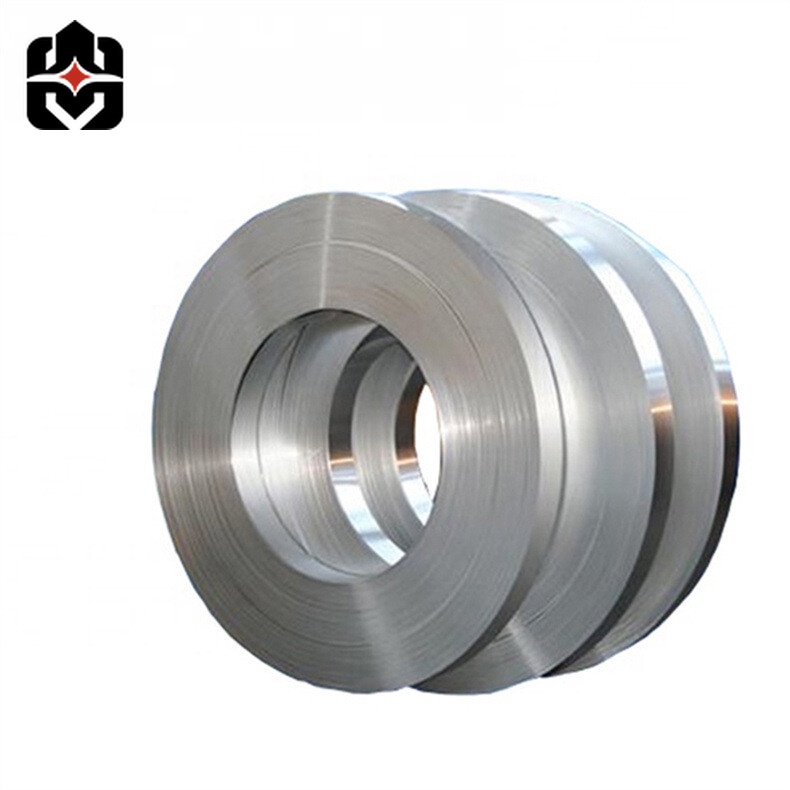310 Stainless Strip