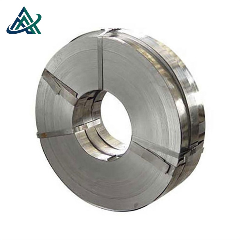 310 Stainless Strip