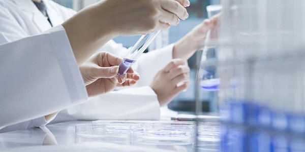 REACH Restricted Substances Testing for Electronic and Electrical Products