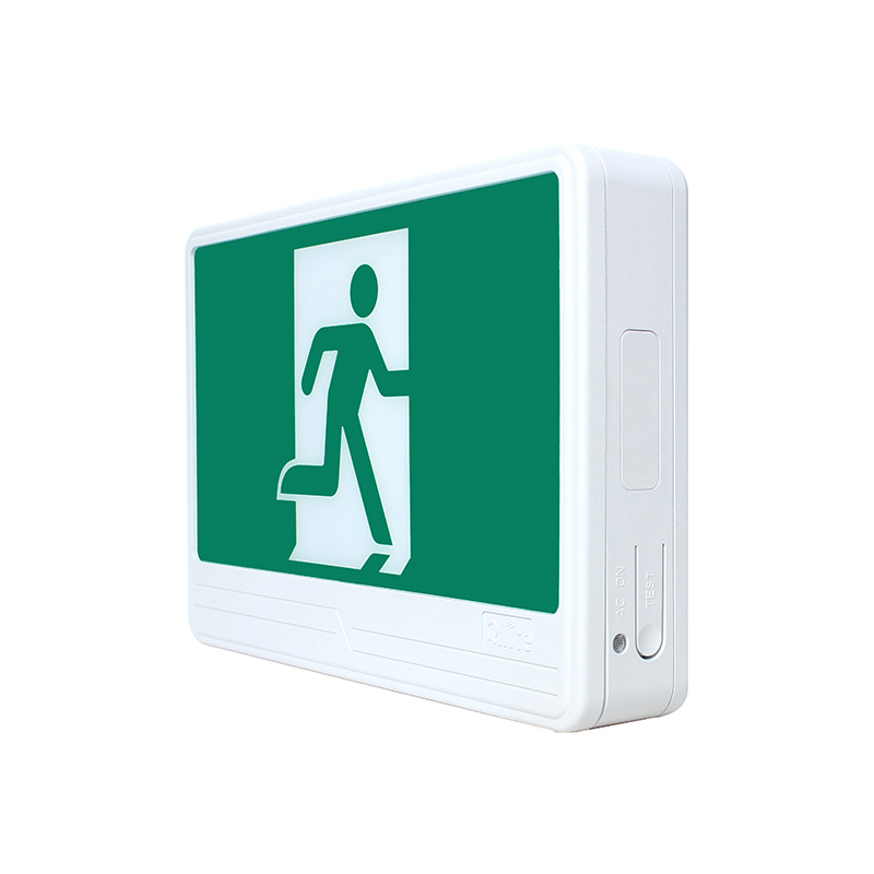 PRM, Pictogramme en plastique