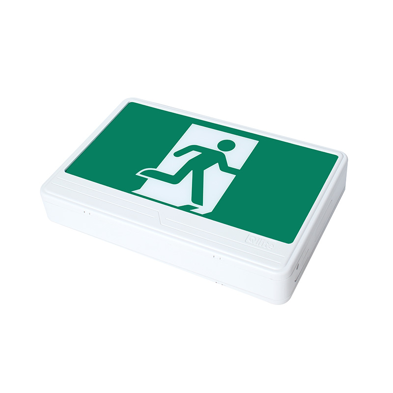 PRM, Pictogramme en plastique