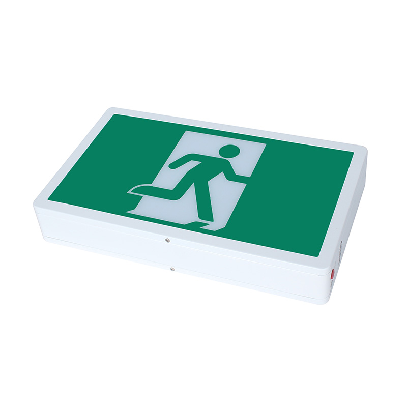 SRM, Pictogramme en acier