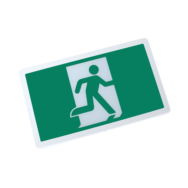 SRM, Pictogramme en acier
