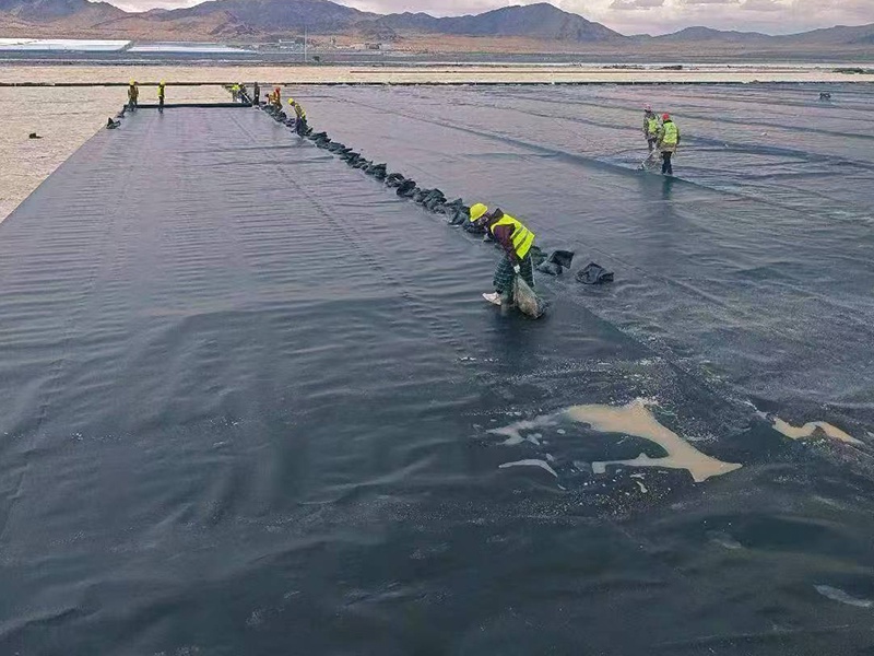 HDPE Geomembrane