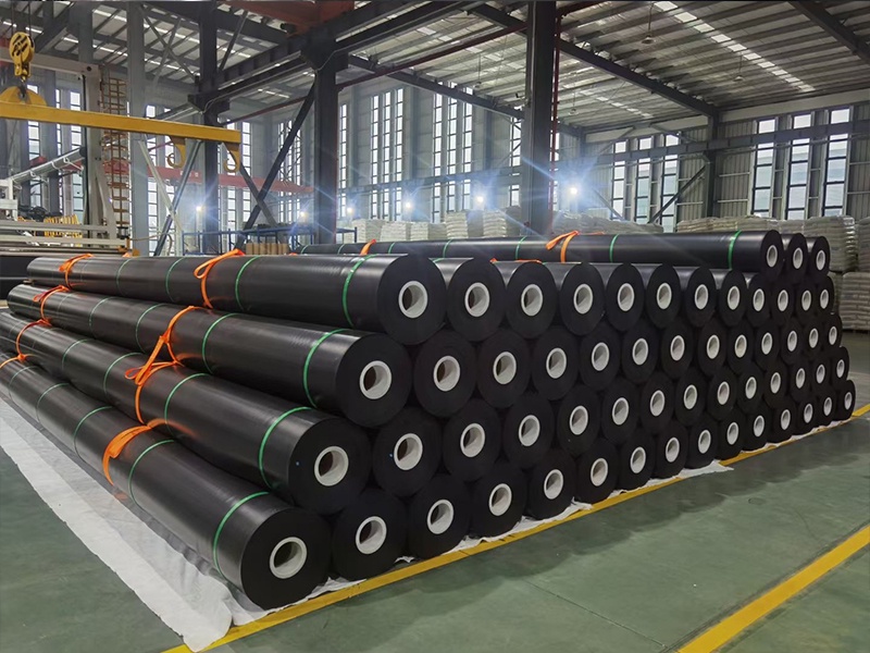HDPE Geomembrane