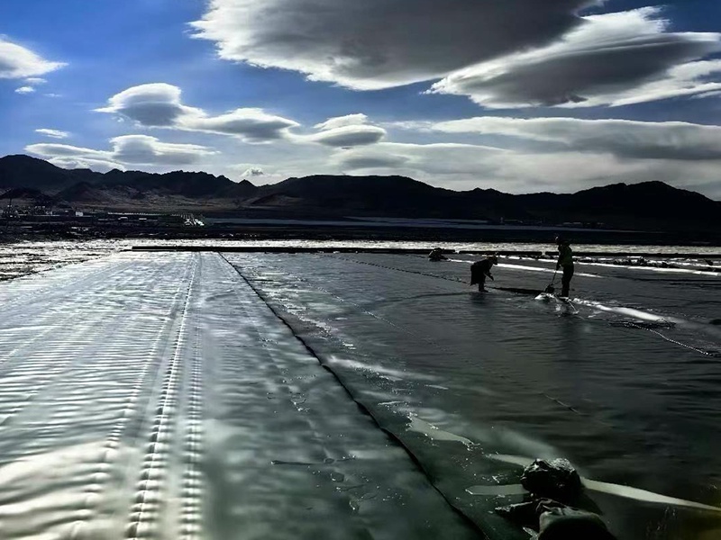 HDPE Geomembrane
