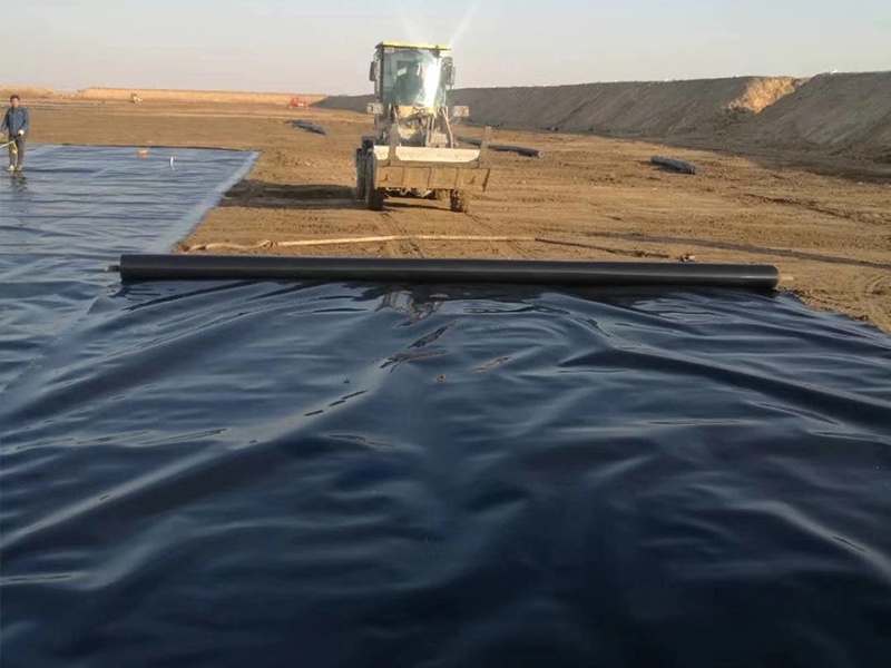 LDPE Geomembrane