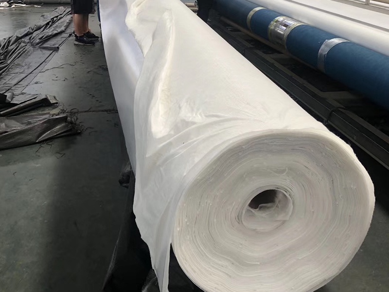 Composite Geomembrane with Geotextile 
