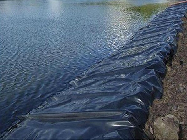 Fish farming pond