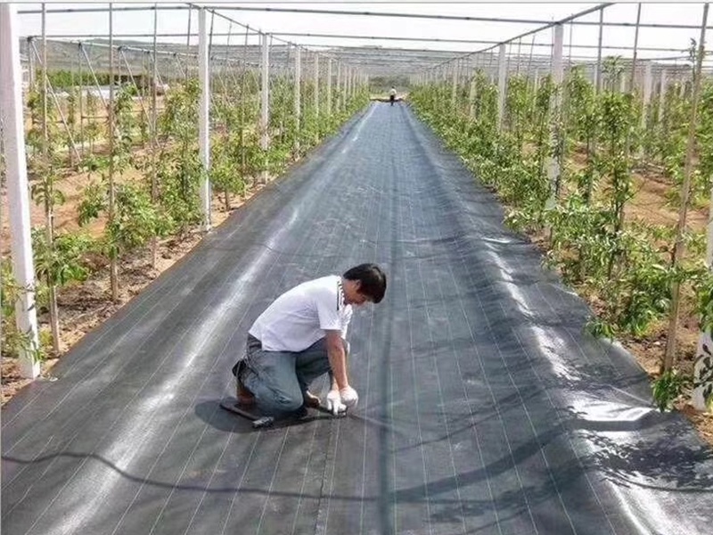PET Woven Geotextile
