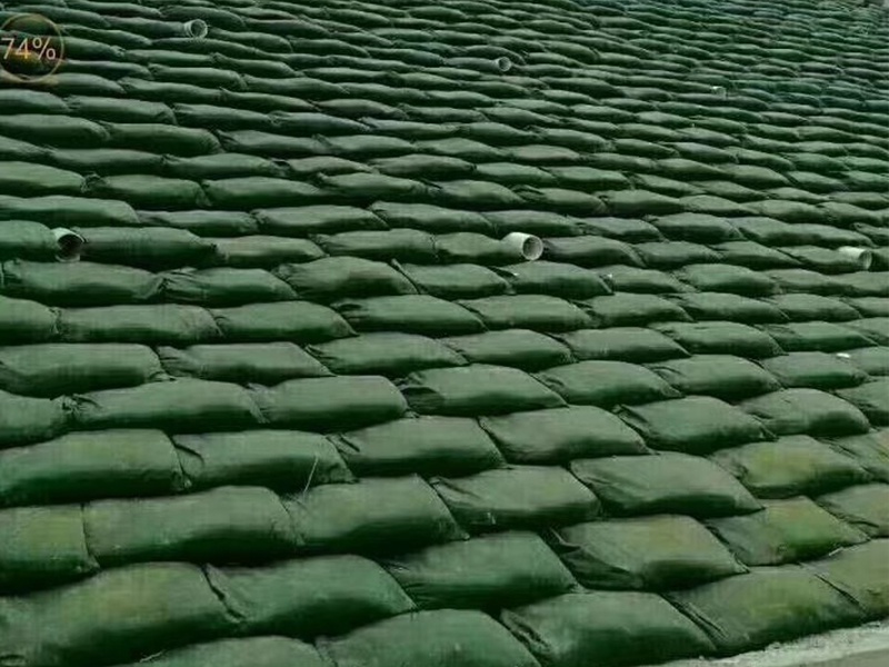 Geotextile bag
