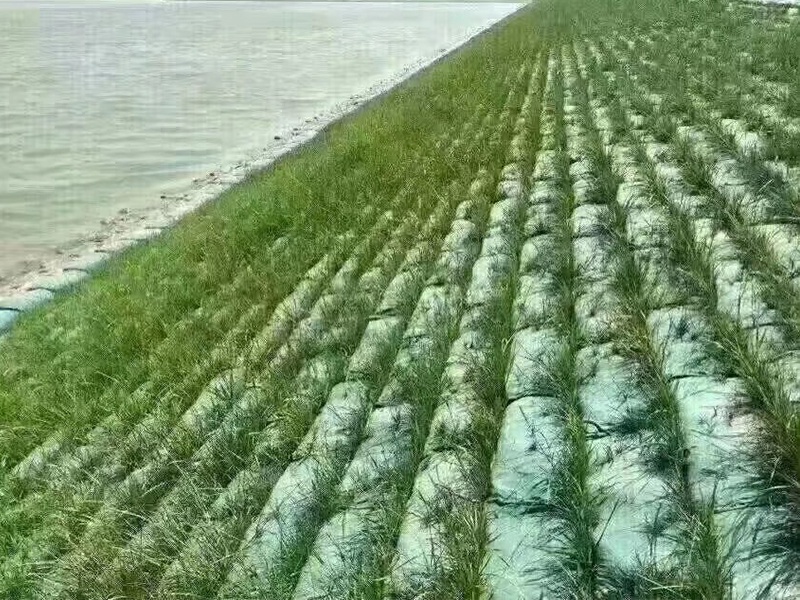 Geotextile bag
