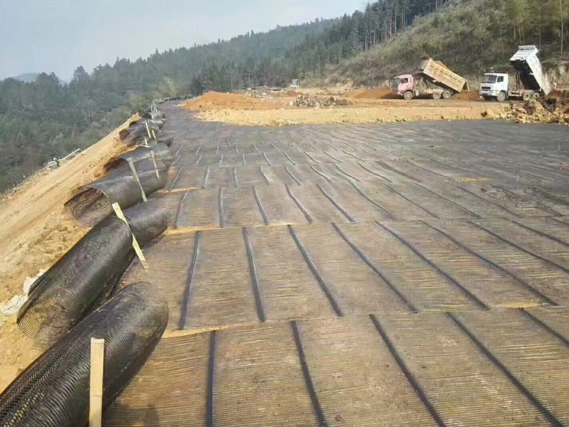 Uniaxial plastic geogrid