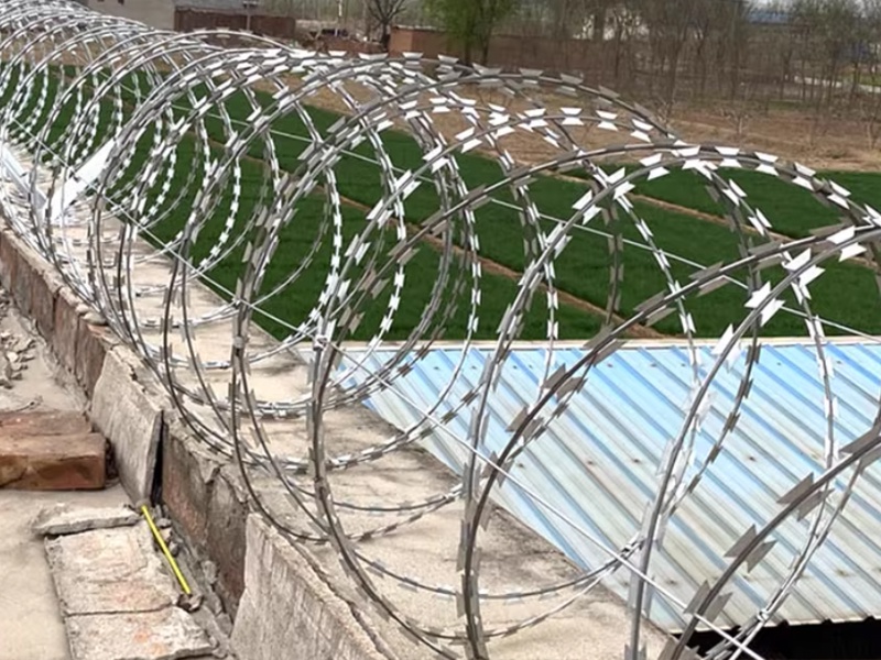 Concertina Razor Wire