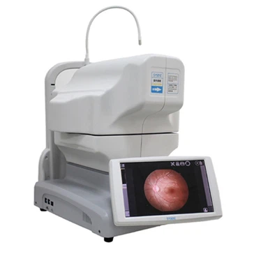 What does fundus photography examine