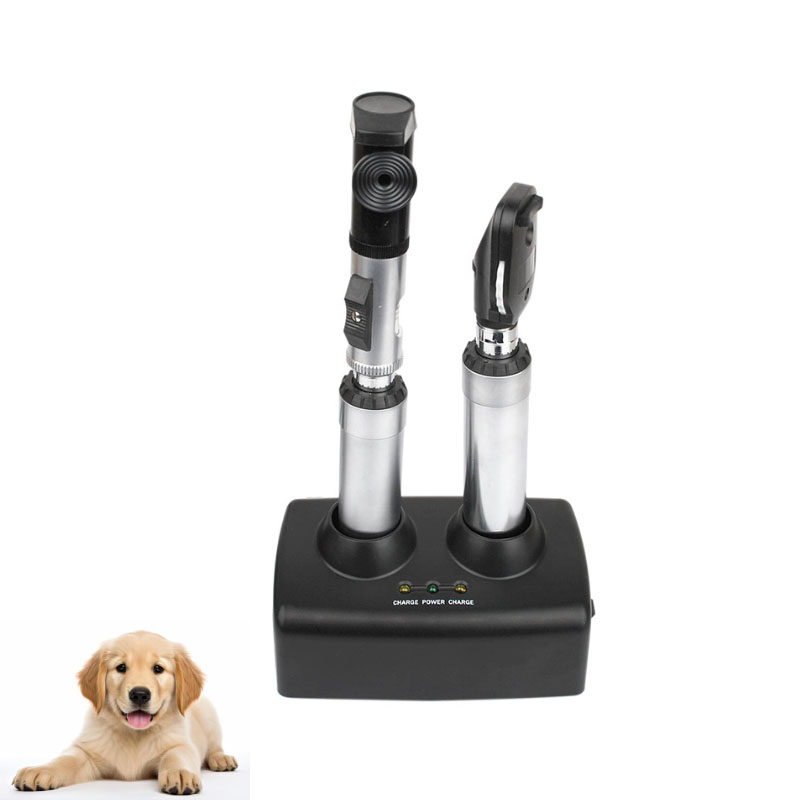 YZ24B+YZ11D Set Ophthalmoscope and Retinoscope Set Veterinary Ophthalmoscope Ophthalmology Diagnostic