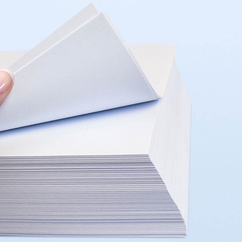 Le Guide Ultime pour Choisir le Meilleur Papier Toilette