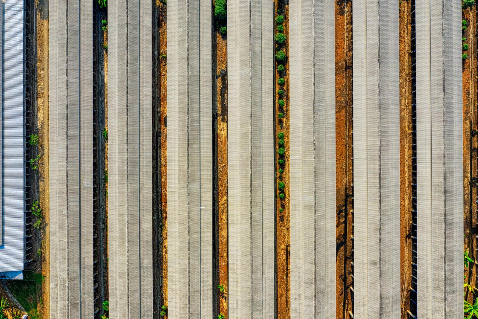 pexels-tomfisk-3097390 pexels-tomfisk-3097390