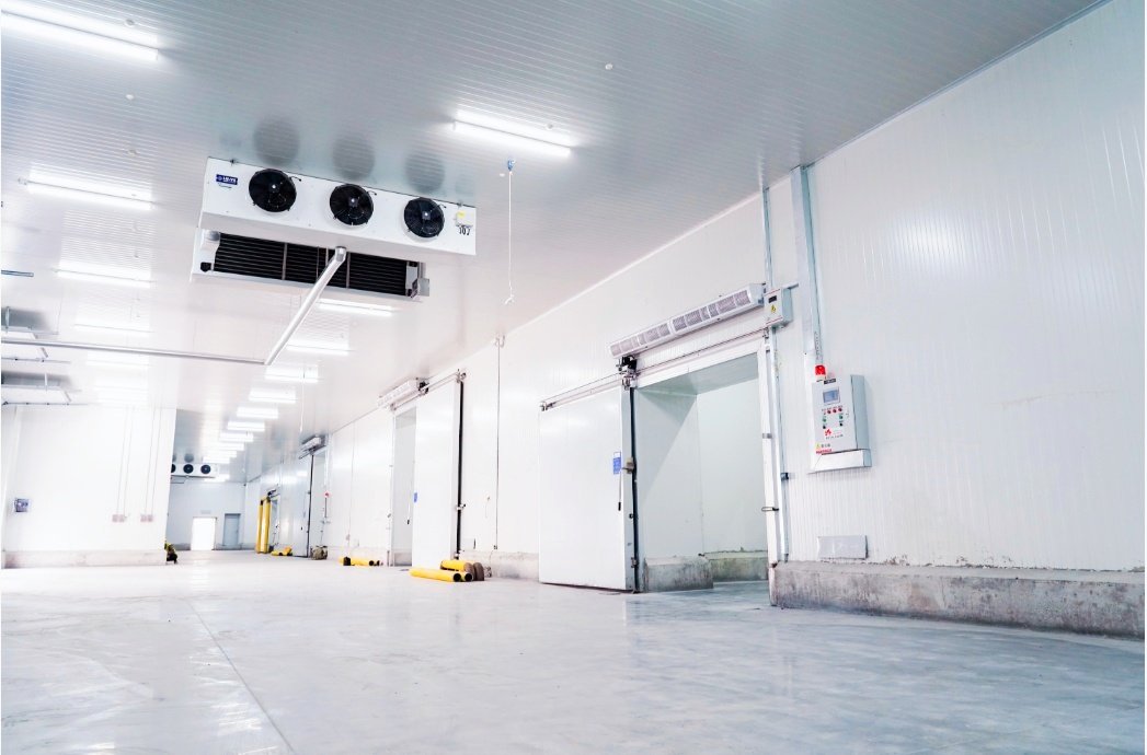 Large-Span Column Spacing Steel Structure Cold Storage Workshop