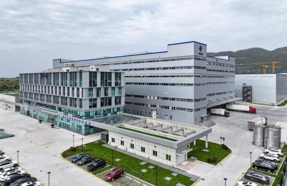 مصنع التخزين المبرد الهيكل الصلب لسلسلة التبريد