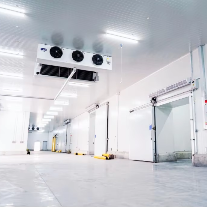 مصنع التخزين المبرد الهيكل الصلب لسلسلة التبريد