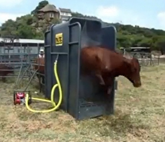 Cattle Washing Machine