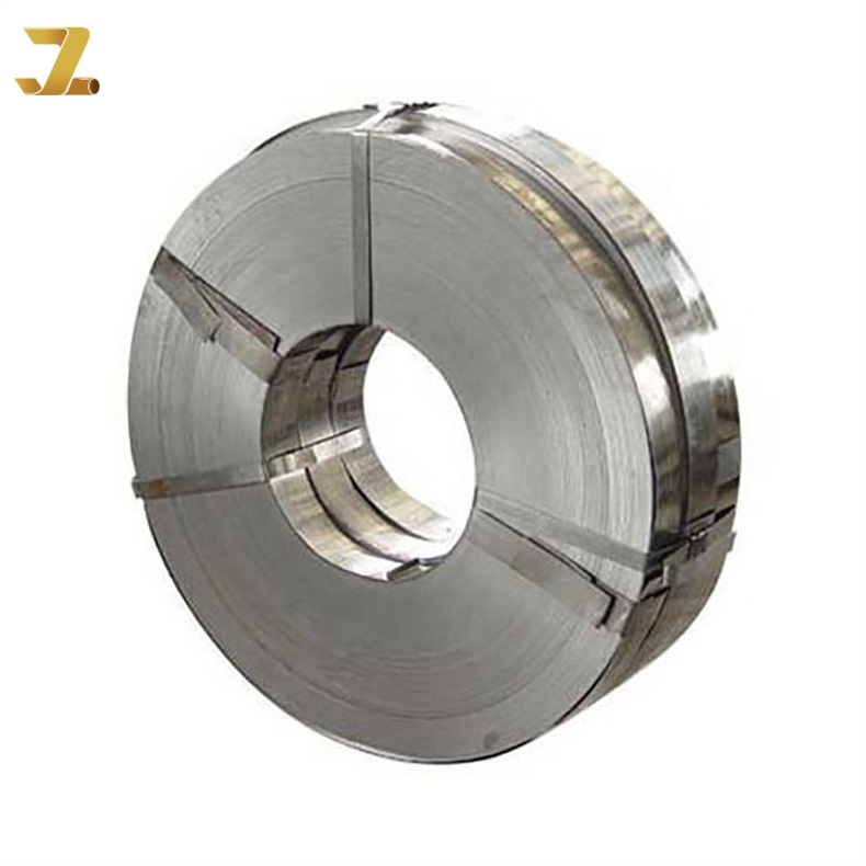 Tira de acero inoxidable 310