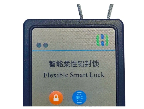 Smart Flexible Lock(R1/R2)