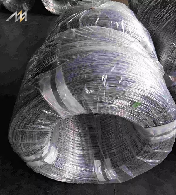 BWG20 21 22 Galvanized Steel Wires