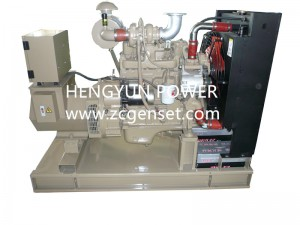 Cummins Diesel Generator