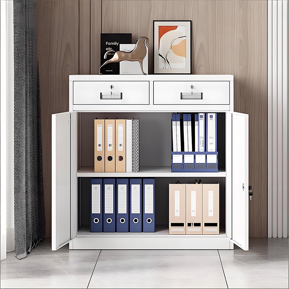 Low filing cabinet - 2 doors - 2 drawers