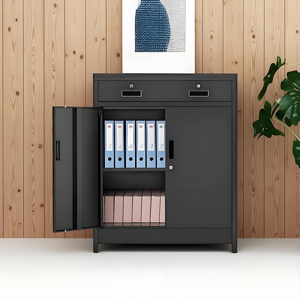 Low filing cabinet - 2 doors - 2 drawers