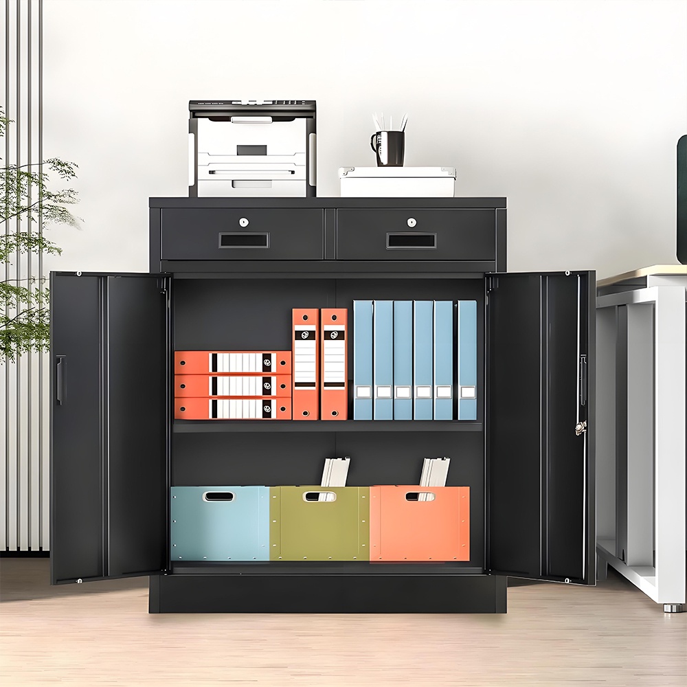 Low filing cabinet - 2 doors - 2 drawers