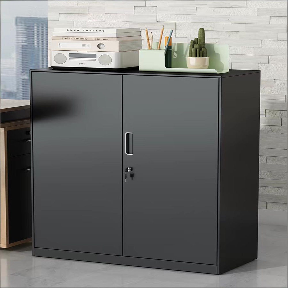 Low filing cabinet - 2 doors