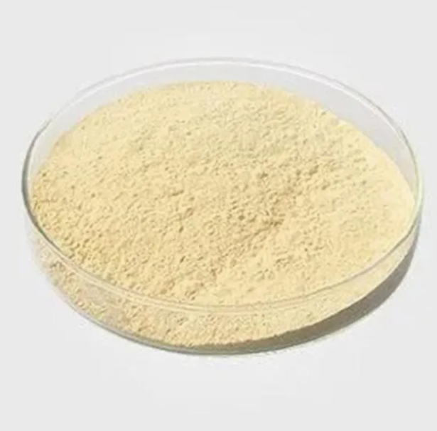 Diatomaceous Earth Synthetic Resin CAS 61790-53-2