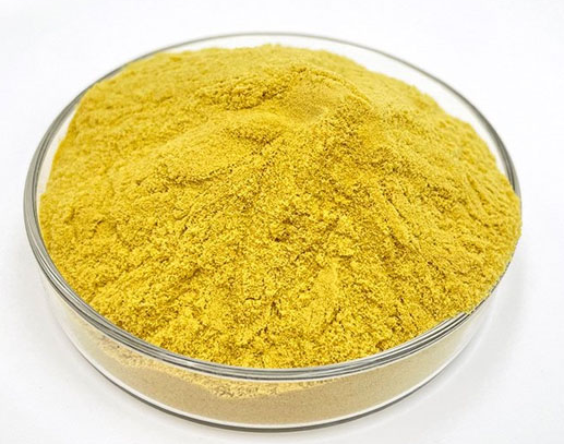 CAS 10028-22-5 Low turbidity raw water treatment agent ferric sulfate