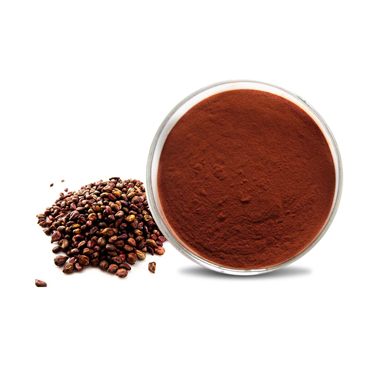 Grape Seed Extract #84929-27-1