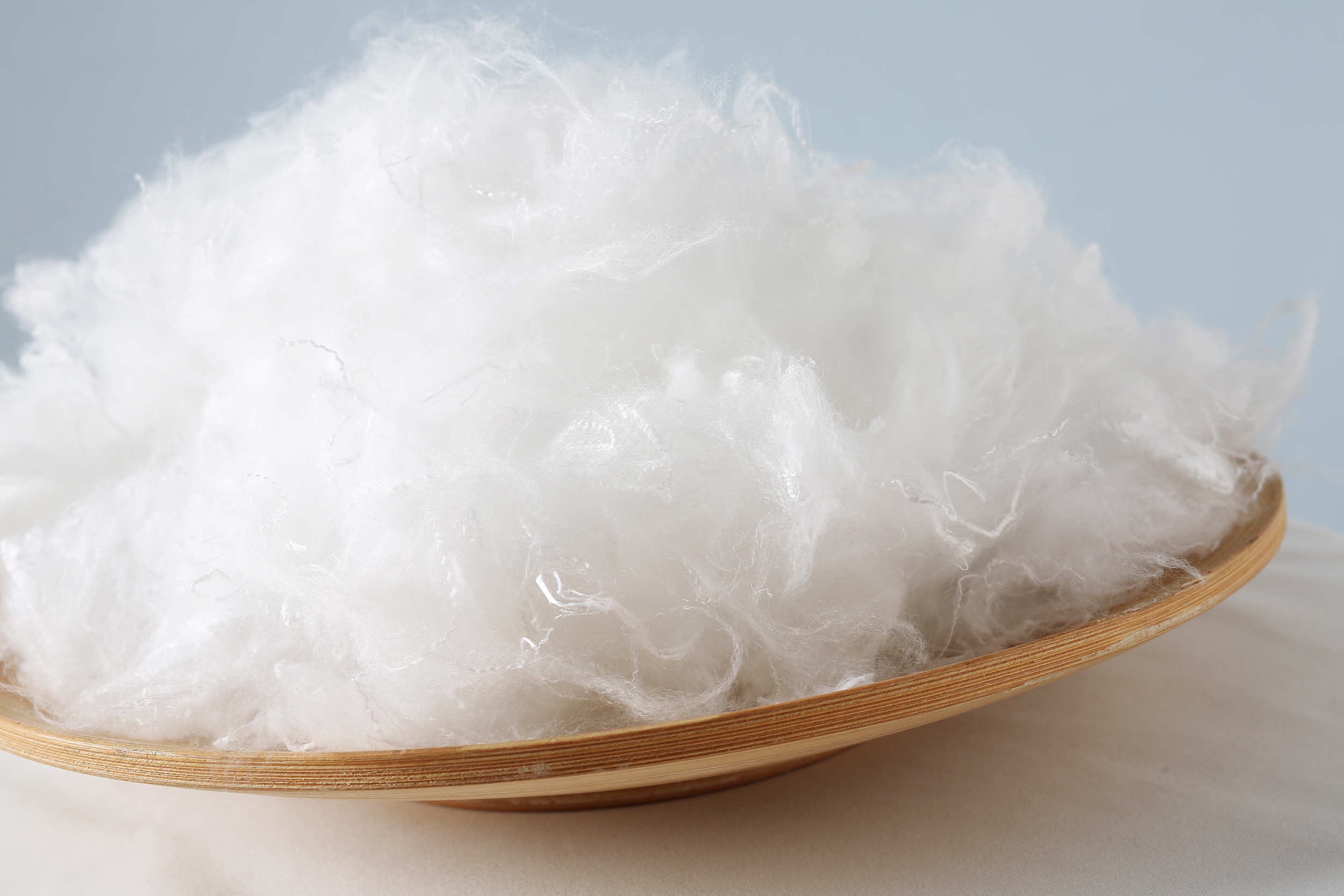 Polyester Staple Fiber
