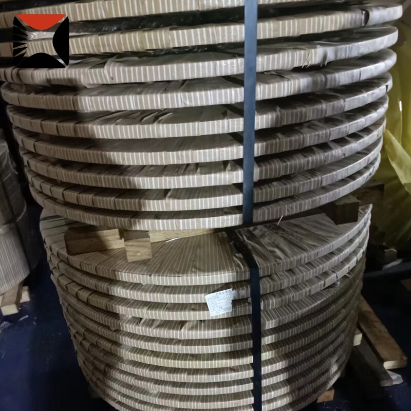 304 Stainless Strip