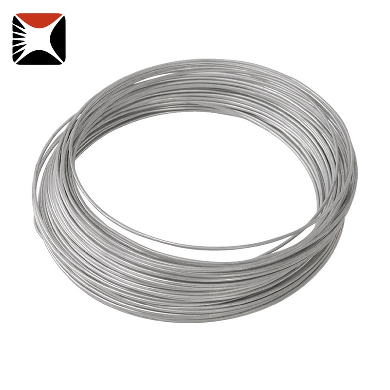 316 Stainless Steel Wire